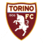 FC Turin